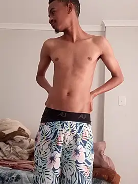 gemini loops online show from November 2025 06:46:02 AM