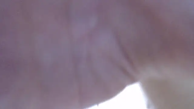 LillyDream2 online show from February 2026 10:22:02 AM