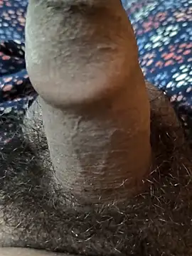 DesiBoyRohit007 online show from September 2025 12:41:01 PM