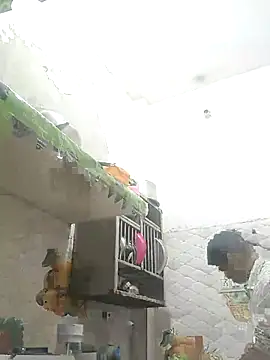 NoxiousFilename online show from October 2025 02:27:02 PM