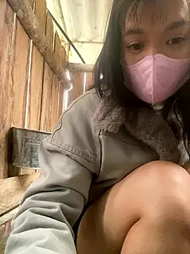 PhanHaa online show from January 2026 02:04:02 AM