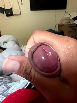 Ksc1802 online show from November 2025 04:51:01 PM