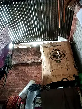 Pinki thakur 1 online show from December 2025 10:24:01 AM