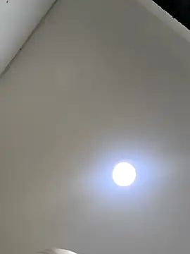 butterfly777  online show from March 2026 08:42:02 AM