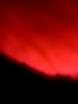 Snapshot of Panter12r chatting on October 2025 07:56:01 PM Panter12r online show from October 2025 07:56:01 PM