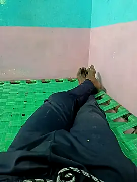 dolphiinn online show from September 2025 04:48:02 AM