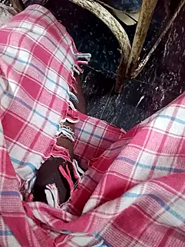 dolphiinn online show from January 2026 02:22:02 PM