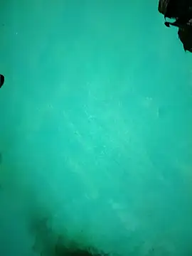 Arti13A online show from January 2026 03:17:01 PM