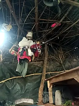 cute diya 12 online show from November 2025 02:22:02 AM