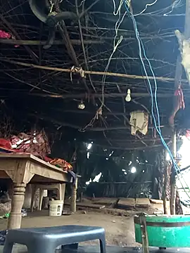 cute diya 12 online show from December 2025 03:01:02 AM