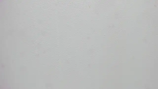 scarlett646 online show from January 2026 03:09:02 AM