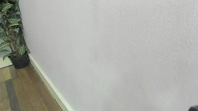 scarlett646 online show from February 2026 03:07:01 AM