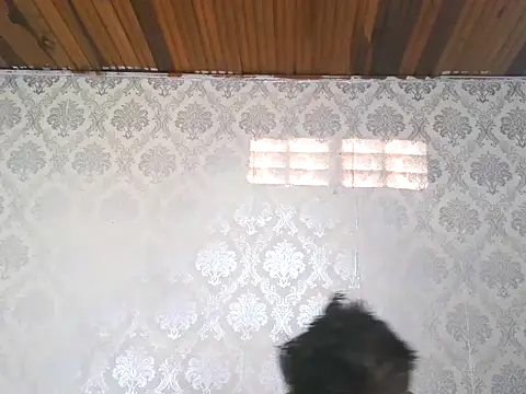 Snapshot of leandro477 chatting on September 2025 09:14:02 PM leandro477 online show from September 2025 09:14:02 PM