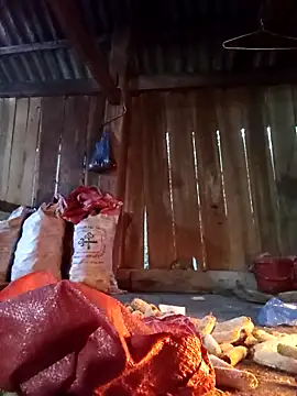 Ngocmi909 online show from December 2025 11:32:01 PM