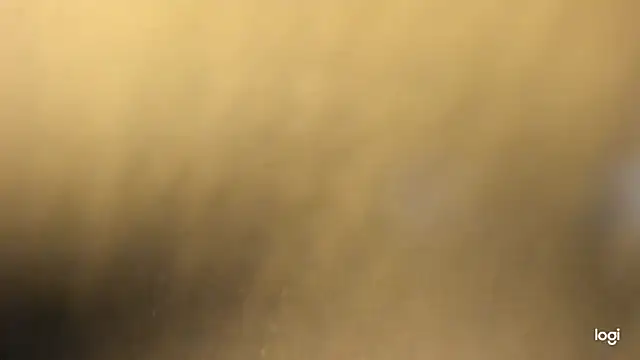 vlakas from cbate online show from January 2026 05:27:02 PM