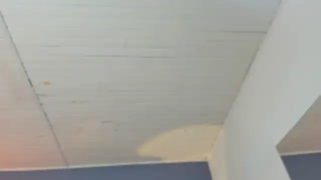 BellaBoobs  online show from October 2025 07:44:02 PM