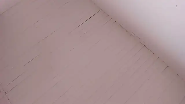 BellaBoobs  online show from October 2025 07:36:02 PM