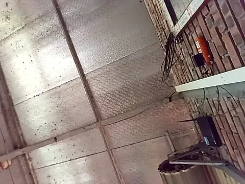 Fienjr online show from March 2026 08:58:02 AM