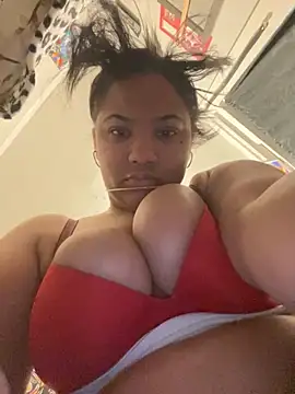 StylishEchium online show from November 2025 08:52:02 PM