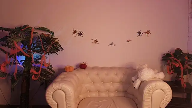 Moana light online show from November 2025 02:44:01 AM