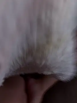 erokami36 online show from February 2026 06:07:01 AM