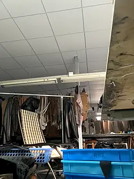 DHJM168 online show from January 2026 01:31:02 AM