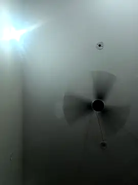 Appypie online show from September 2025 04:41:01 PM