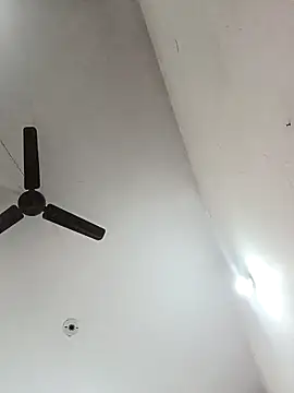 Appypie online show from December 2025 05:13:01 AM