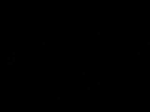 poison doll2 online show from May 2026 12:27:02 AM