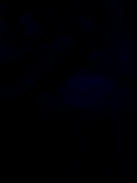 Snapshot of changavega chatting on October 2025 12:44:01 AM changavega online show from October 2025 12:44:01 AM