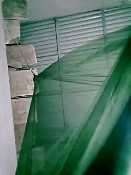 Lisa pusy online show from November 2025 12:48:02 PM