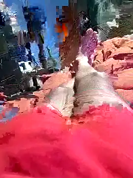 Snapshot of QJHoElyking chatting on October 2025 03:27:01 AM QJHoElyking online show from October 2025 03:27:01 AM