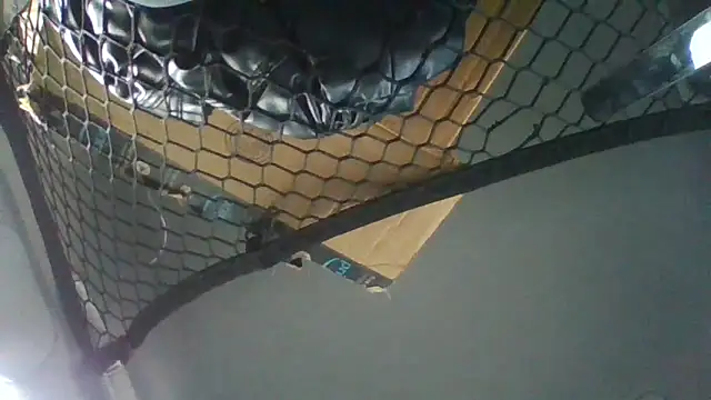 Leshok online show from September 2025 02:28:02 PM