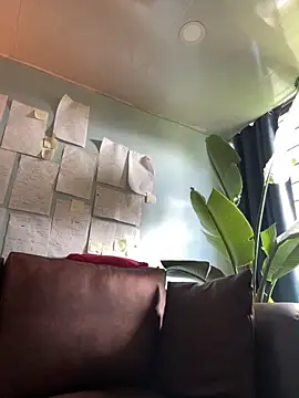 Canneela online show from March 2026 06:47:01 PM