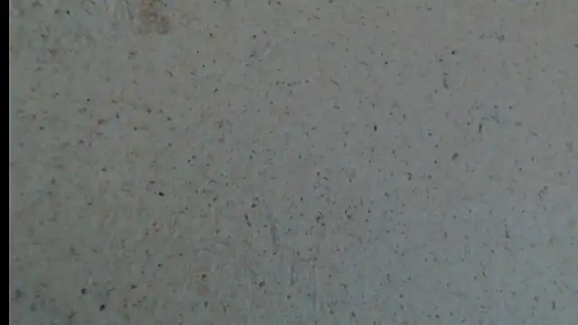 Snapshot of crazy_daniela chatting on October 2025 08:18:01 PM crazy daniela online show from October 2025 08:18:01 PM