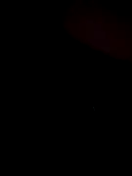 stevo170t online show from November 2025 07:40:01 AM