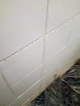 kelvinjesus34 online show from October 2025 06:36:01 AM