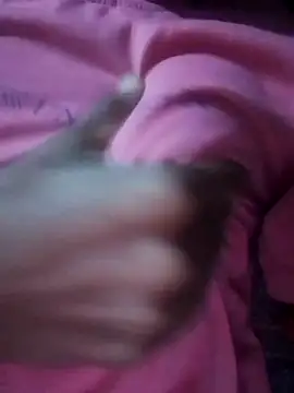 bhanu 11 online show from September 2025 04:01:02 PM