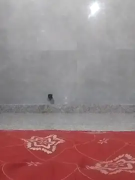 bhanu 11 online show from October 2025 02:40:02 PM