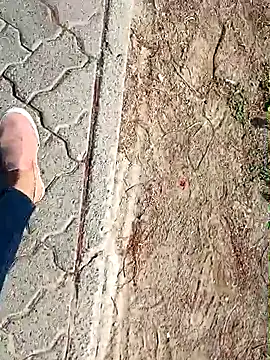 Snapshot of beerant chatting on October 2025 05:39:01 AM beerant online show from October 2025 05:39:01 AM