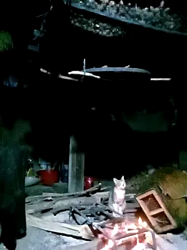 ngan-cute online show from November 2025 01:28:01 PM