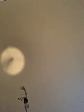 GeilerHSVFAN1989 online show from November 2025 04:12:01 AM