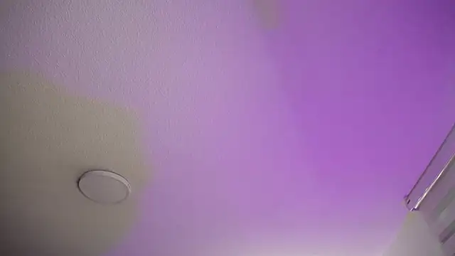  Charlotte Collins  online show from November 2025 02:16:01 PM