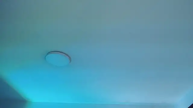  Charlotte Collins  online show from April 2026 02:22:01 PM