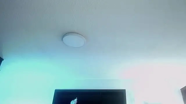Snapshot of _Charlotte_Collins_ chatting on April 2026 02:51:02 PM Charlotte Collins online show from April 2026 02:51:02 PM