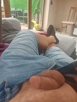 stunning stallion online show from September 2025 09:31:01 AM