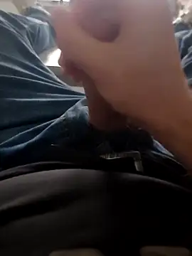 stunning stallion online show from March 2026 04:47:01 PM