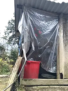 Snapshot of liu-liusexy chatting on January 2026 08:18:01 AM liu-liusexy online show from January 2026 08:18:01 AM