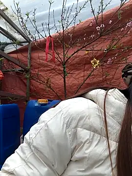 Snapshot of liu-liusexy chatting on February 2026 06:20:02 AM liu-liusexy online show from February 2026 06:20:02 AM