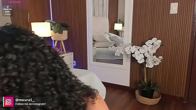 miss curazao online show from March 2026 12:27:01 PM